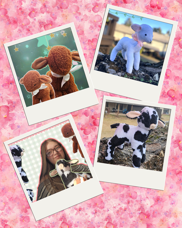 Farm/Wild Plushies